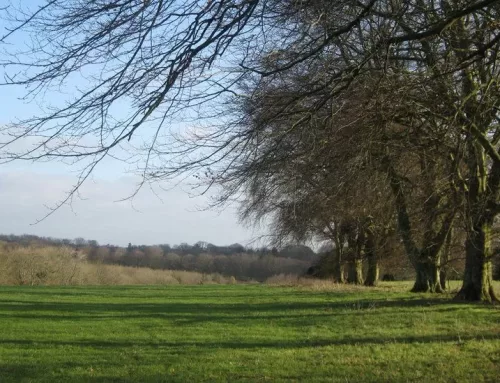 Green farming schemes to be paid more taxpayers’ money