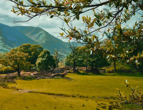 Corruption in Cumbria…